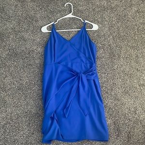Blue Tie Dress (medium) - Naked Zebra